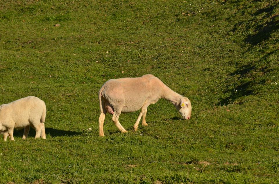 Celjska koča 29.3.2014 - foto povečava