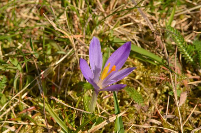 Savinjska 30.3.2014 - foto