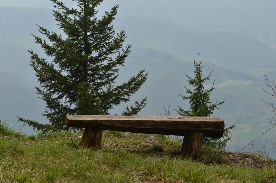 Čemšeniška planina, Savinjska 6.4.2014 - foto povečava