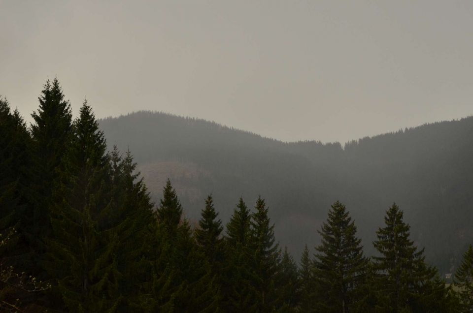 Čemšeniška planina, Savinjska 6.4.2014 - foto povečava