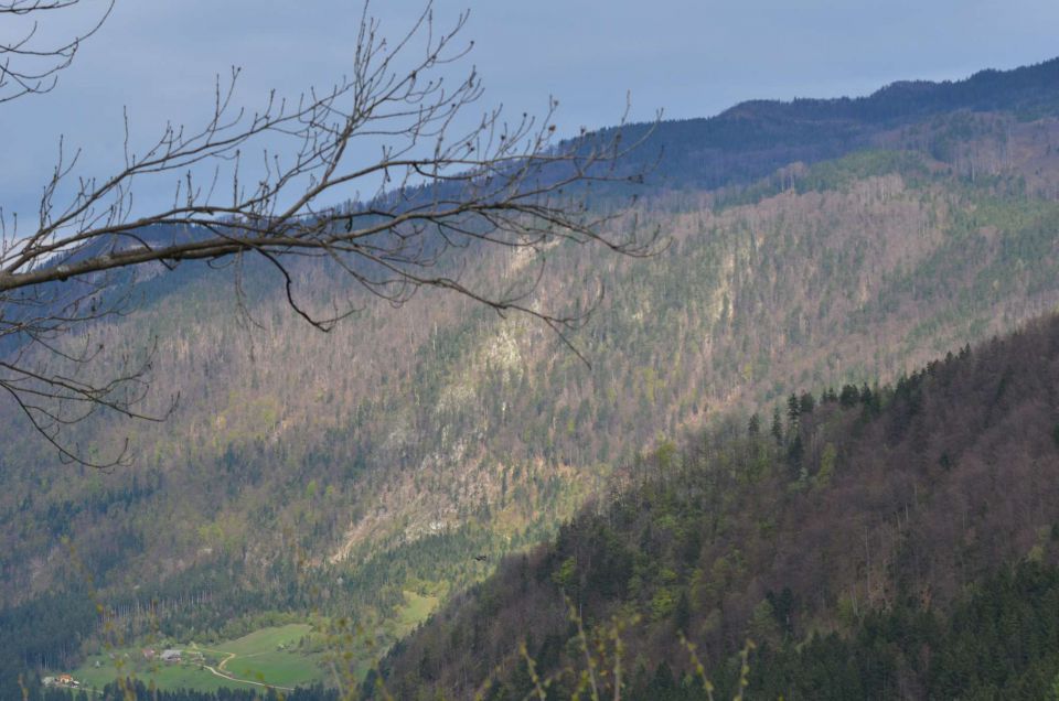 Savinjska 13.4.2014 - foto povečava