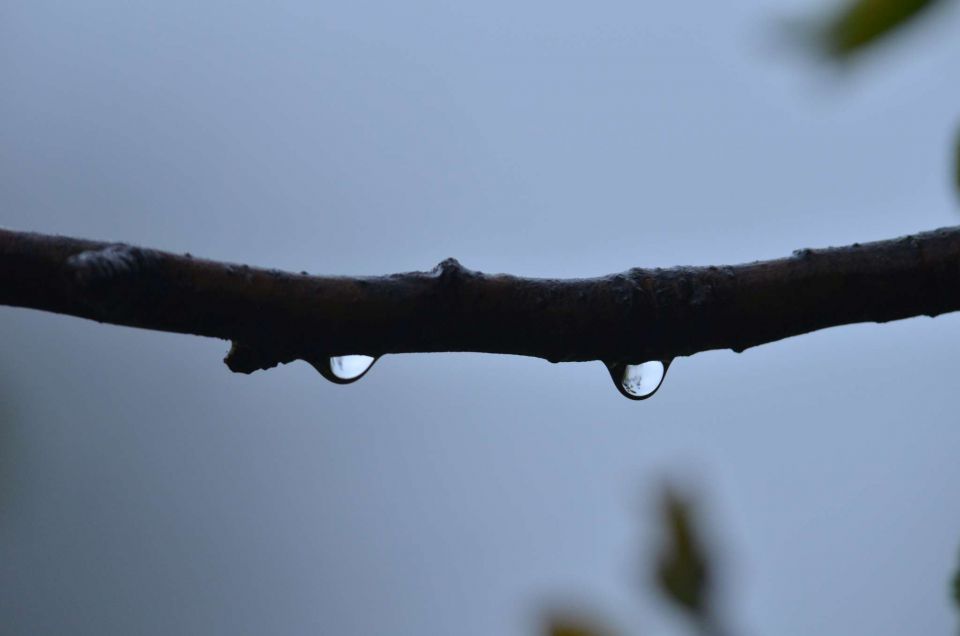 Deževne ure 20, 21.4.2014 - foto povečava