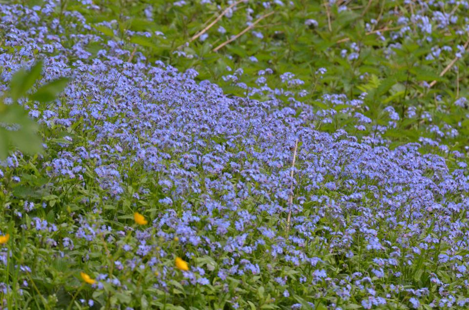 Savinjska 27.4.2014 - foto povečava