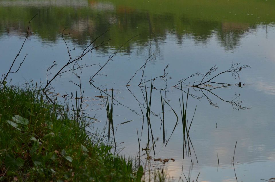 Braslovško jezero 29.4.2014 - foto povečava