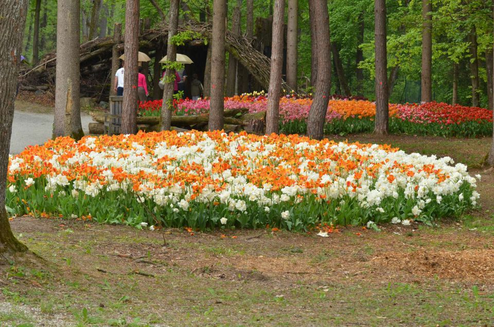 Volčji potok 1.5.2014 - foto povečava