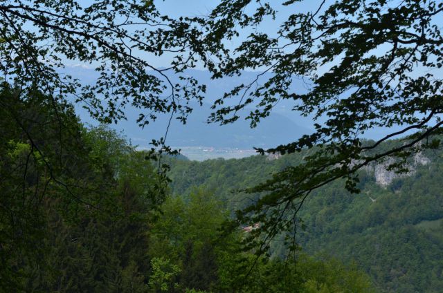 Šmohor iz Liboj 4.5.2014 - foto