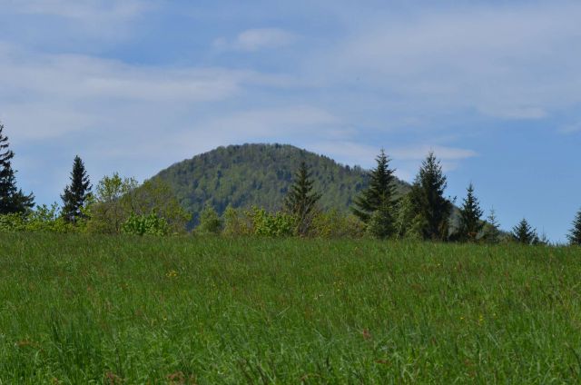 Šmohor iz Liboj 4.5.2014 - foto