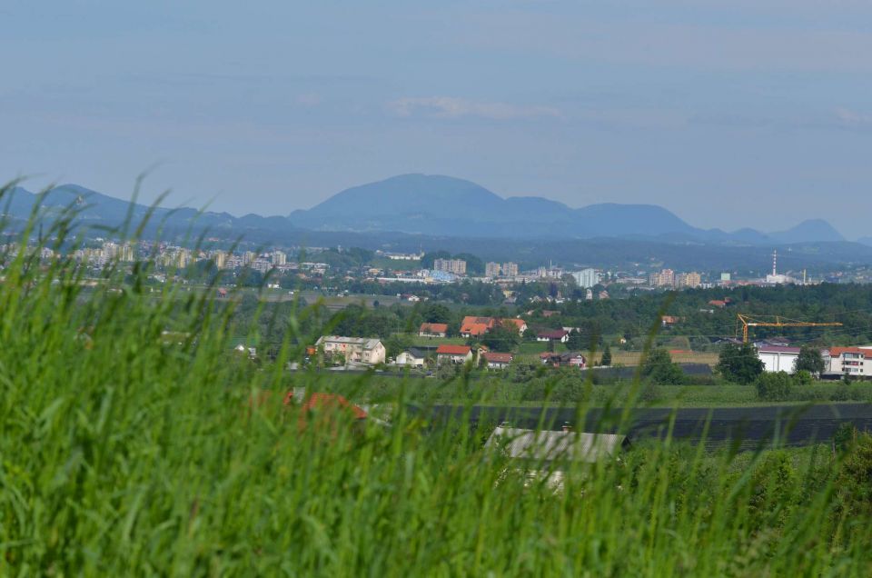 Šmohor iz Liboj 4.5.2014 - foto povečava