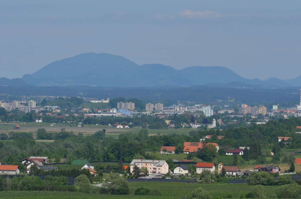 Šmohor iz Liboj 4.5.2014 - foto povečava