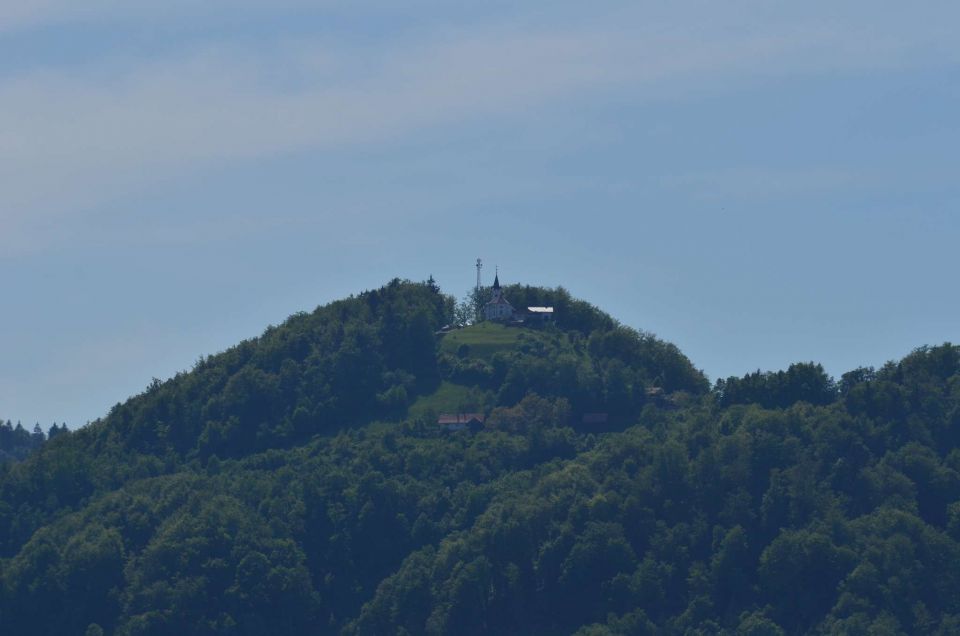 Šmohor iz Liboj 4.5.2014 - foto povečava