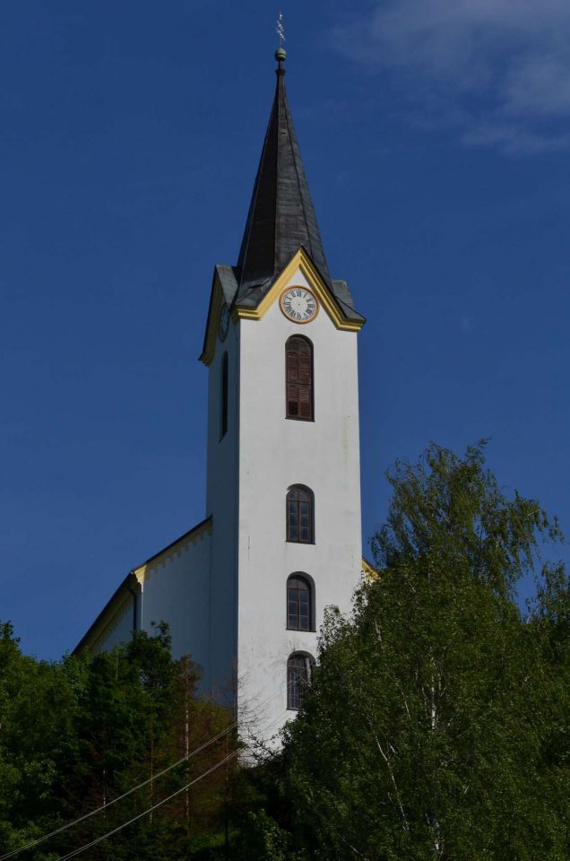 Šmohor iz Liboj 4.5.2014 - foto povečava