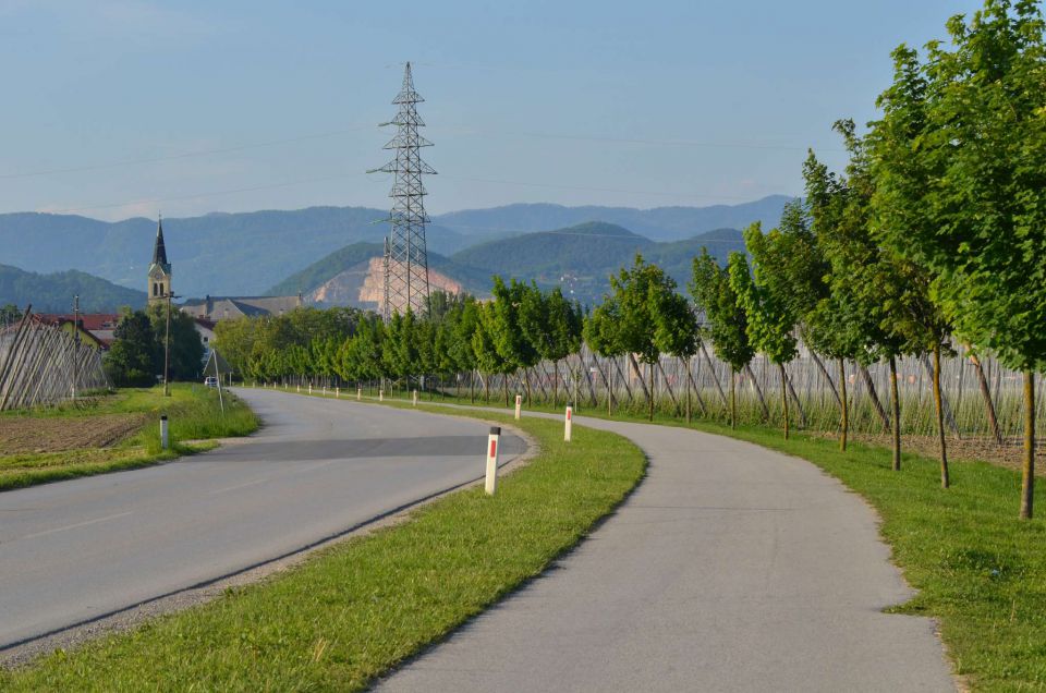 Po dolini zelenega zlata 5.5.2014 - foto povečava