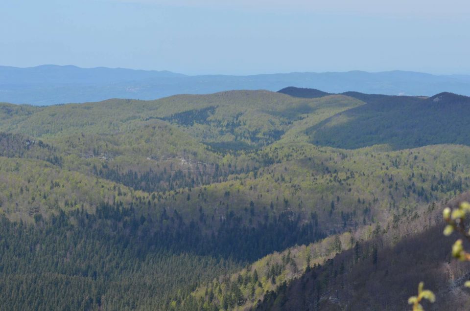 Snežnik 10.5.2014 - foto povečava