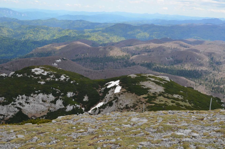 Snežnik 10.5.2014 - foto povečava