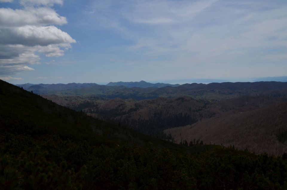 Snežnik 10.5.2014 - foto povečava