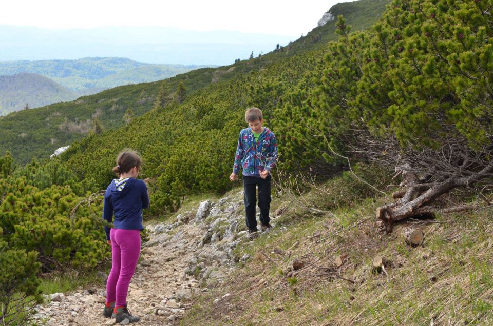 Snežnik 10.5.2014 - foto povečava