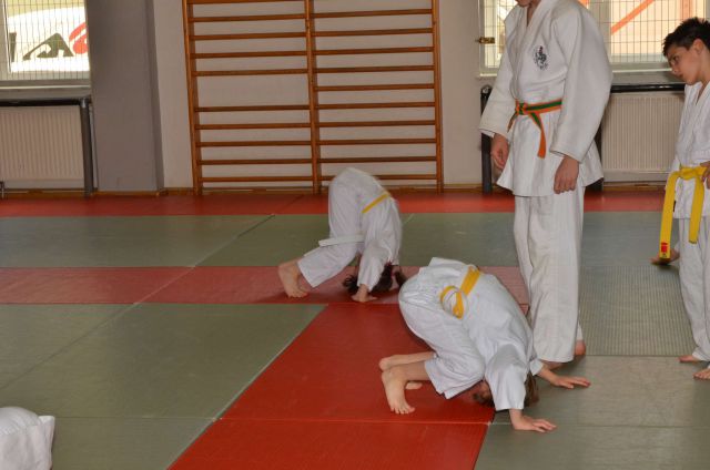 Nina - judo rumeni pas 19.5.2014 - foto