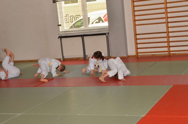 Nina - judo rumeni pas 19.5.2014 - foto