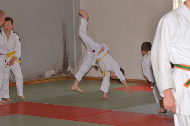 Nina - judo rumeni pas 19.5.2014 - foto