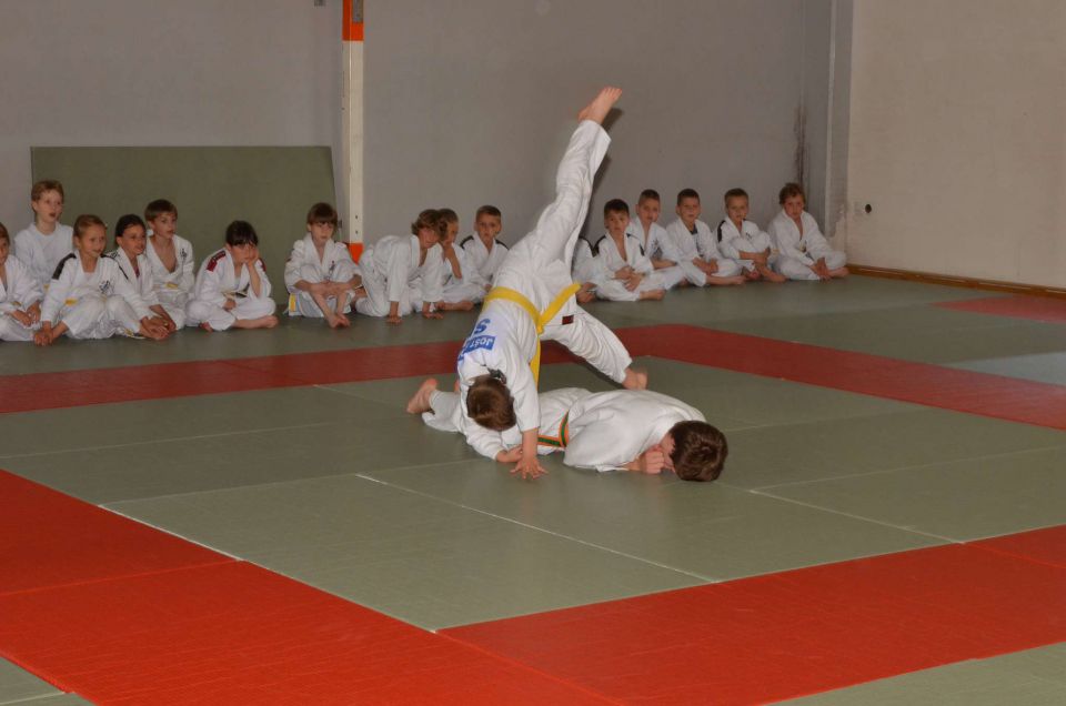 Nina - judo rumeni pas 19.5.2014 - foto povečava