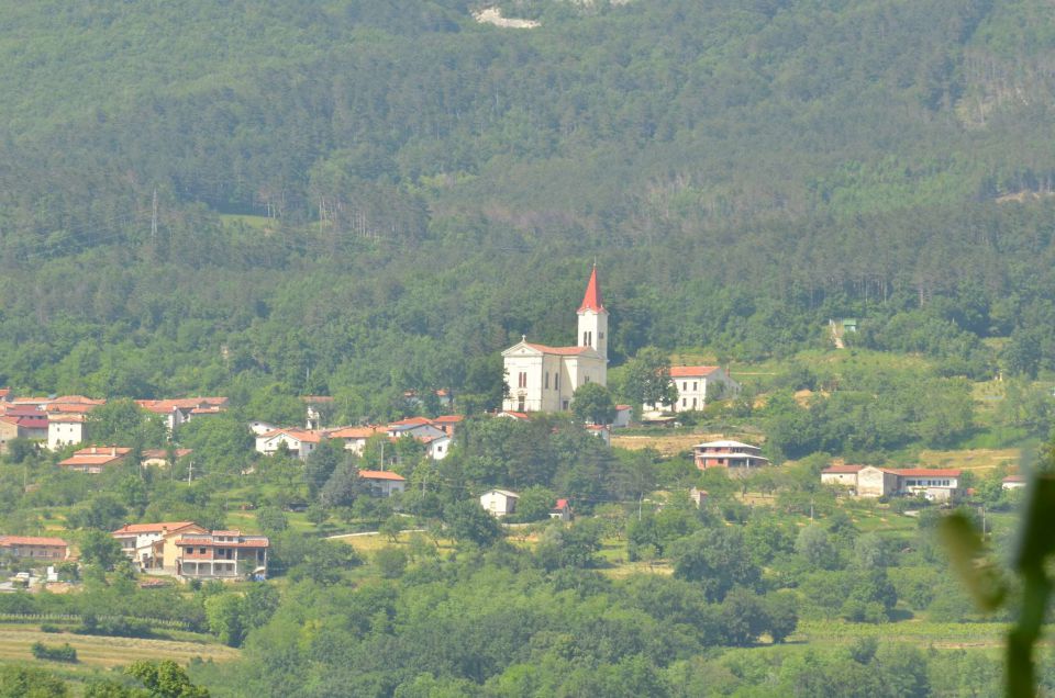 Nad dolino Raše, Vipavska dolina 21.5.2014 - foto povečava