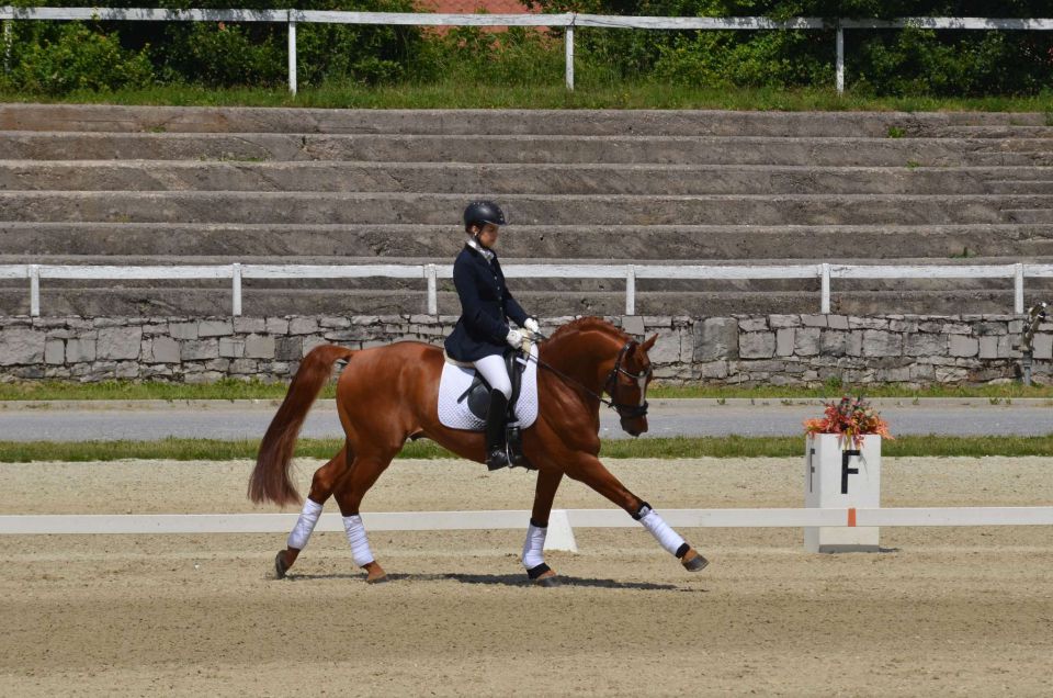 Lipica, Škocjan, Izola 24.5.2014 - foto povečava