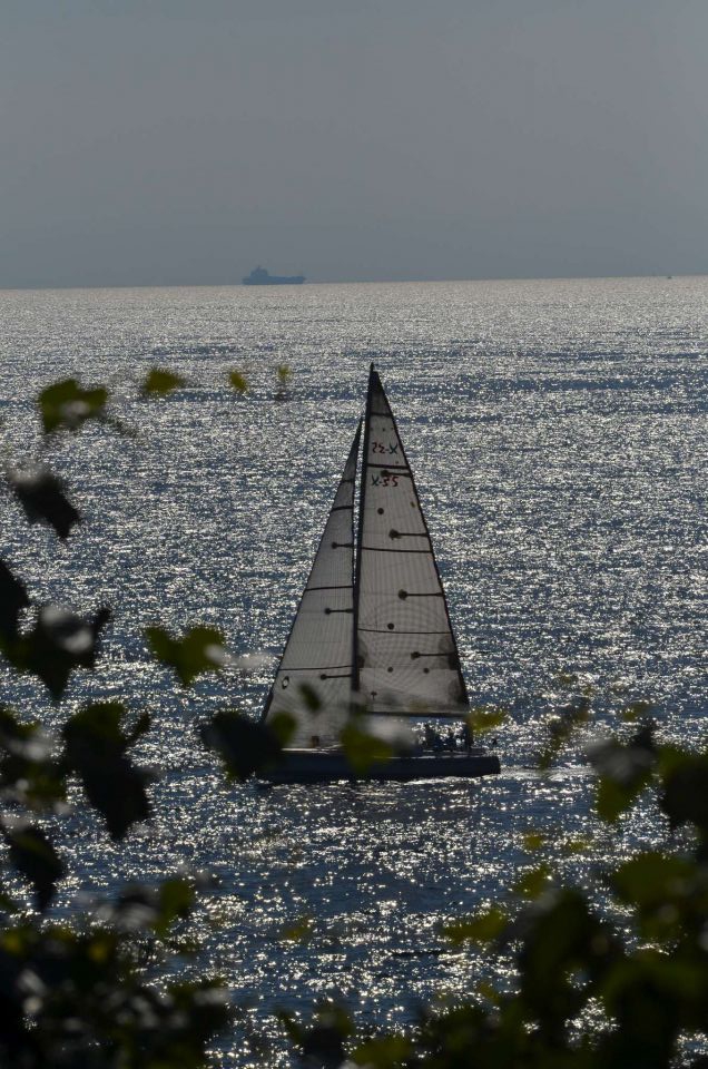 Ankaran, Piran, Socerb 7.6.2014 - foto povečava