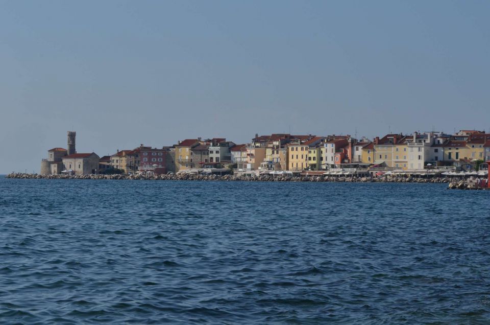 Ankaran, Piran, Socerb 7.6.2014 - foto povečava