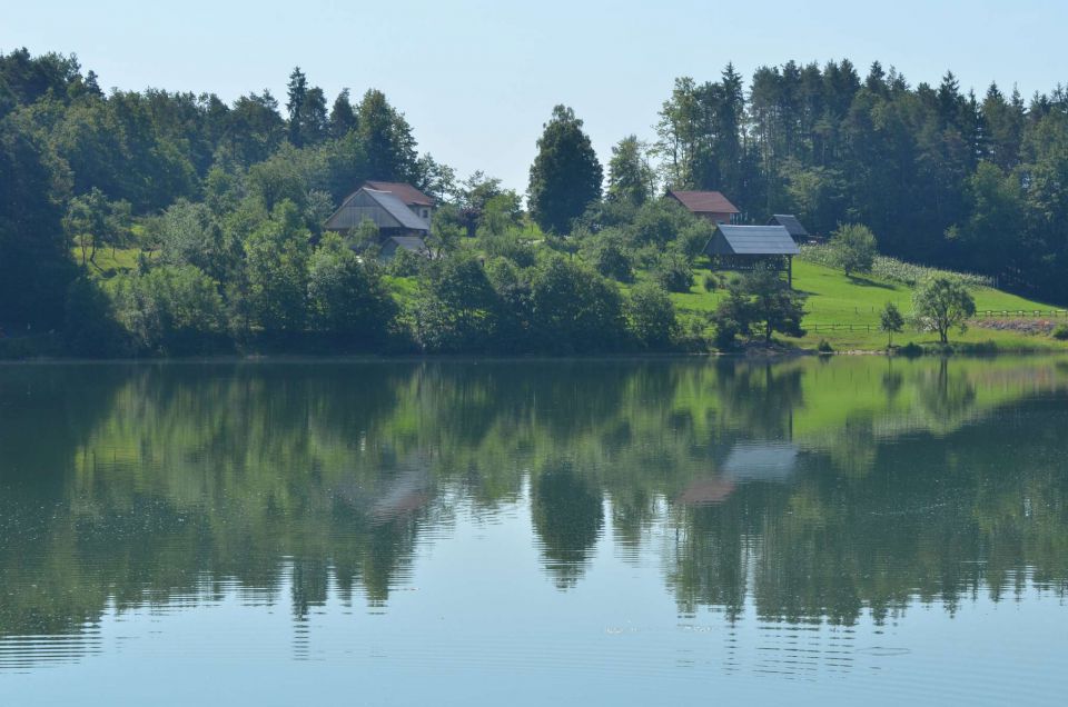 Kolesarjenje Celje 8.6.2014 - foto povečava