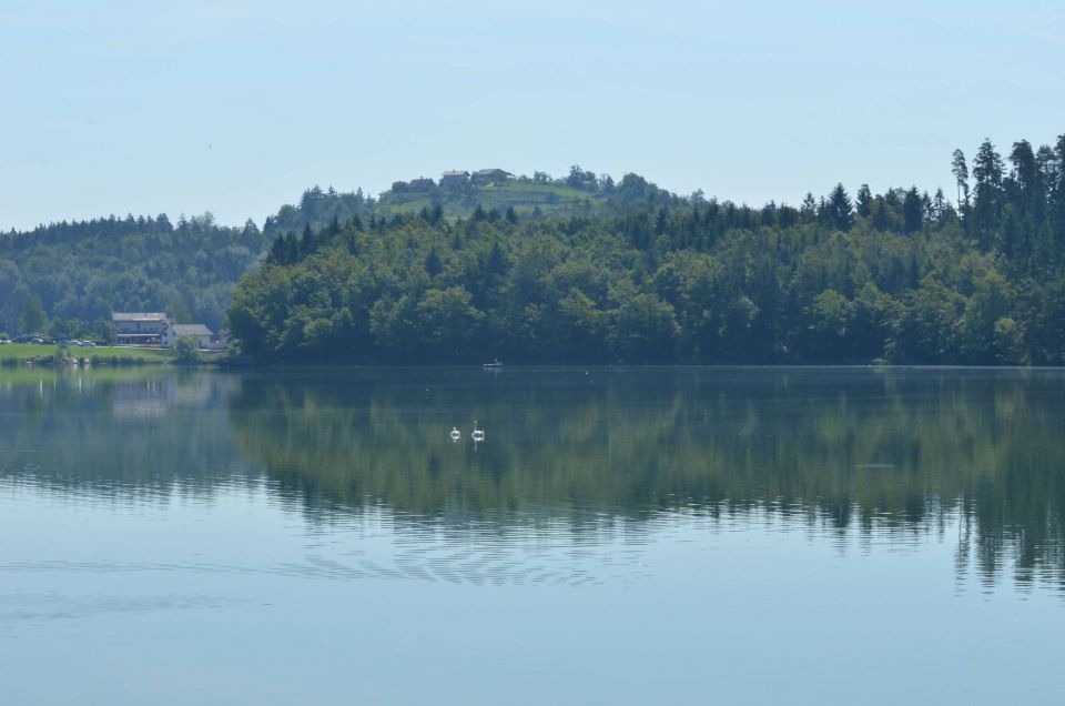 Kolesarjenje Celje 8.6.2014 - foto povečava