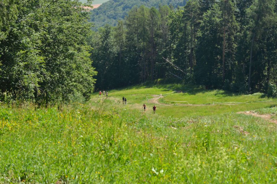 Pohorje 15.6.2014 - foto povečava