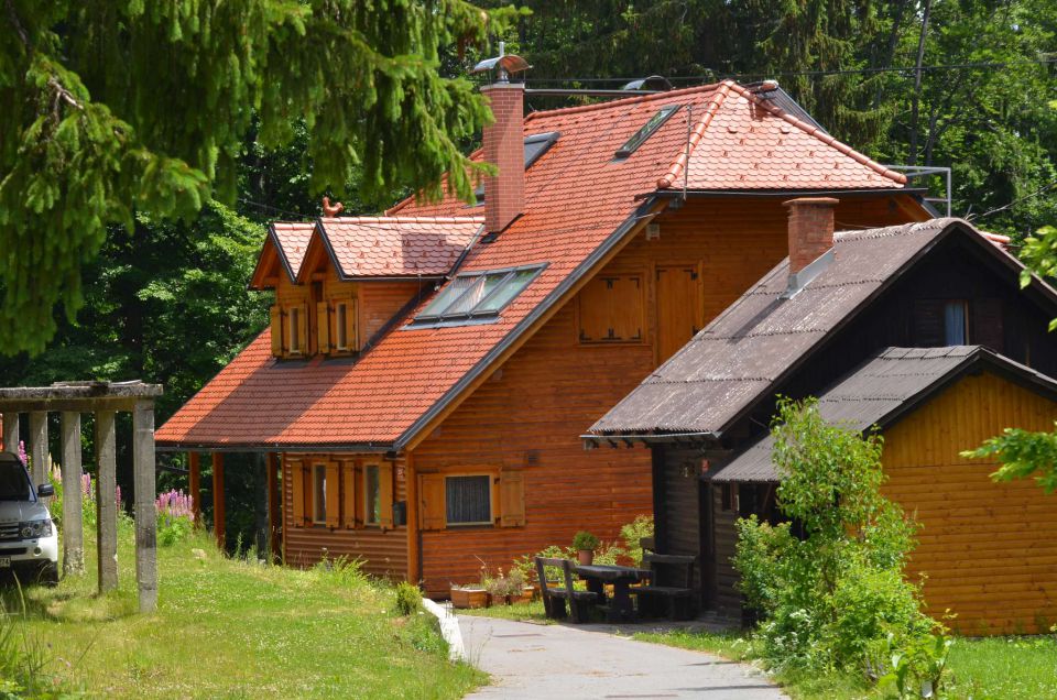 Pohorje 15.6.2014 - foto povečava