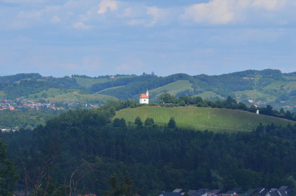 Pohorje 15.6.2014 - foto povečava