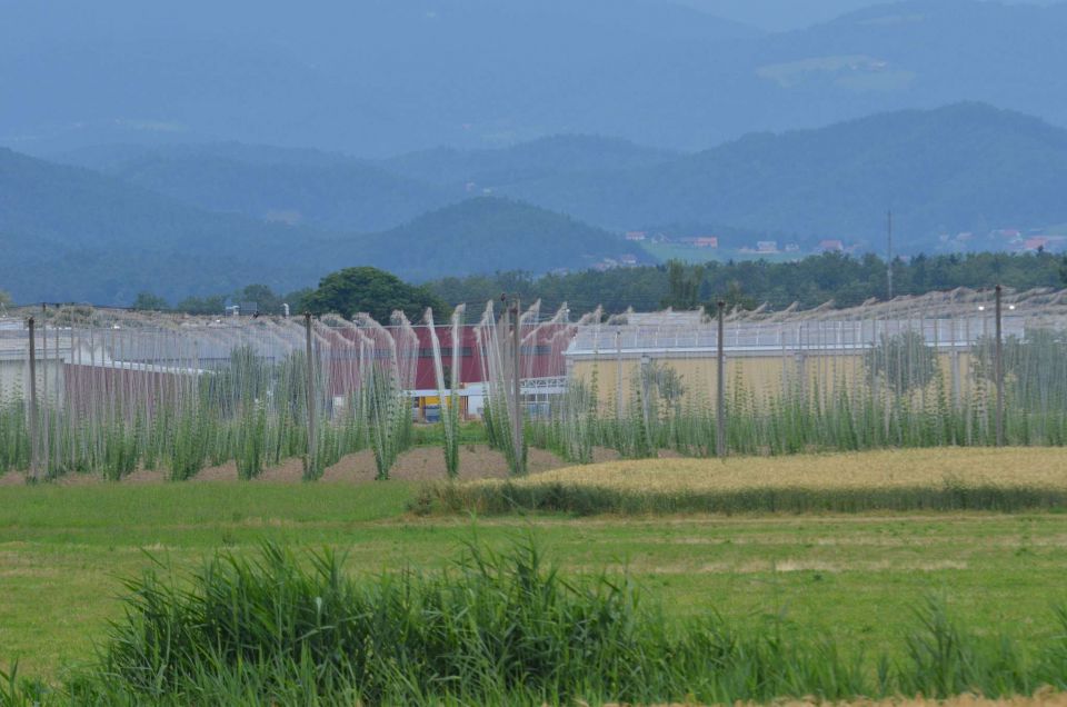 Gornji Grad, Celje 16,17.6.2014 - foto povečava