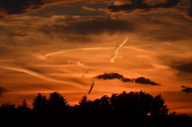 Celje 28.6.2014 - foto