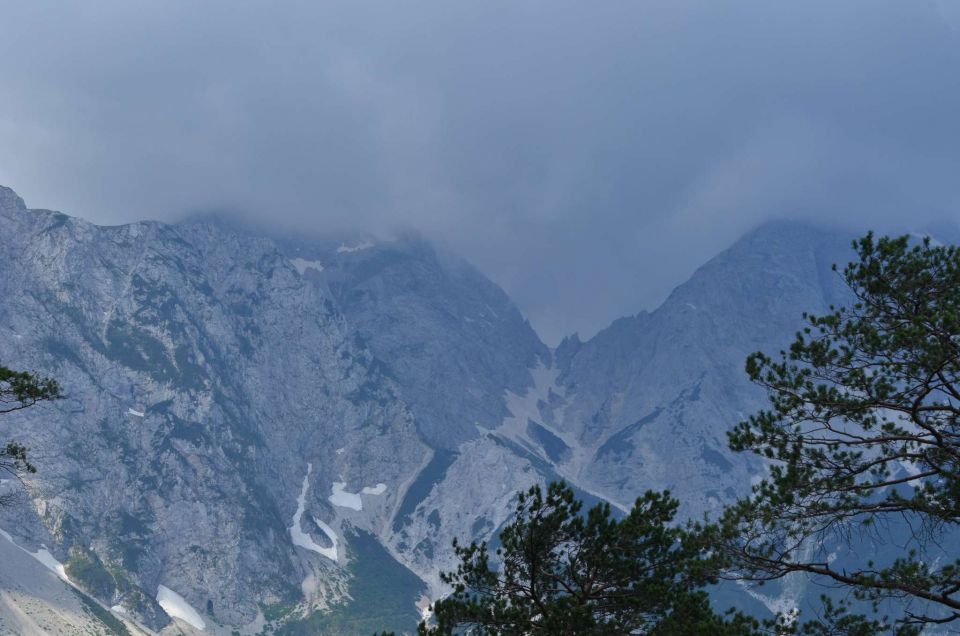 Krofička 29.6.2014 - foto povečava