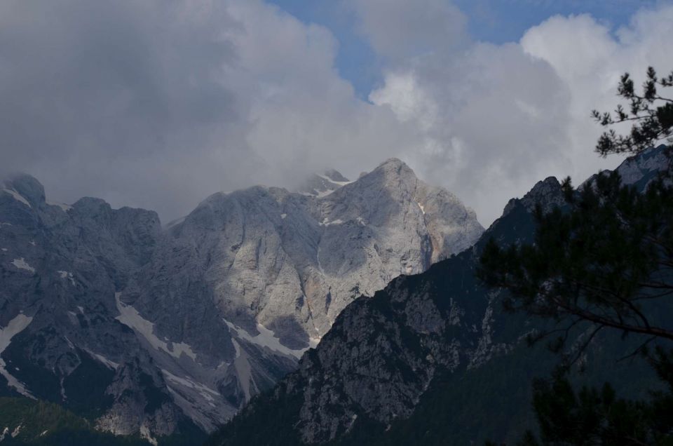 Krofička 29.6.2014 - foto povečava