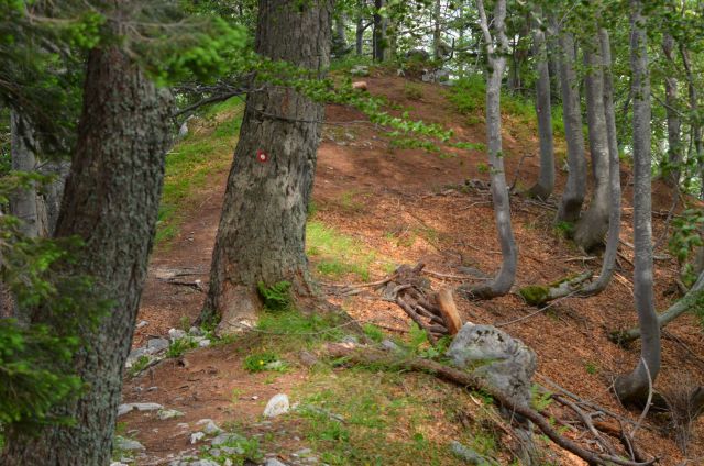 Krofička 29.6.2014 - foto