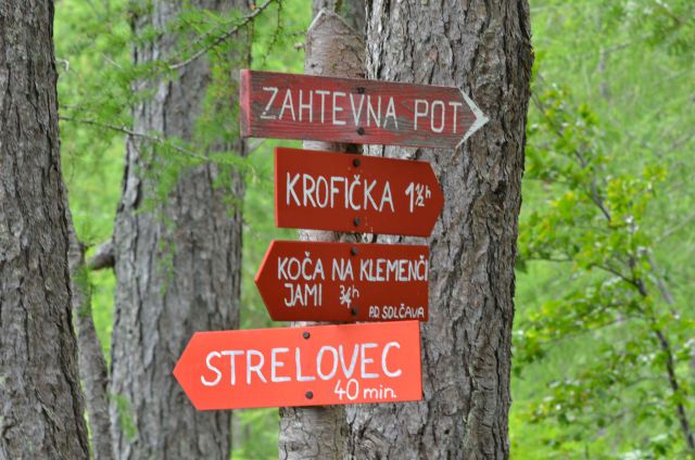 Krofička 29.6.2014 - foto