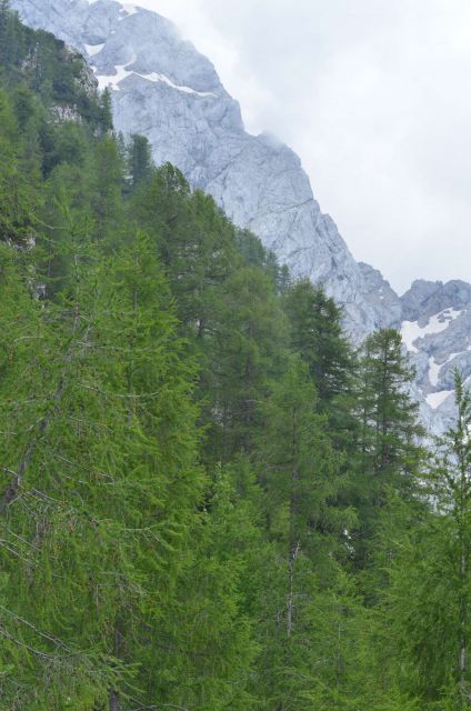 Krofička 29.6.2014 - foto