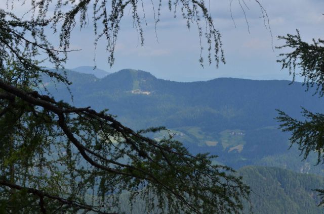 Krofička 29.6.2014 - foto