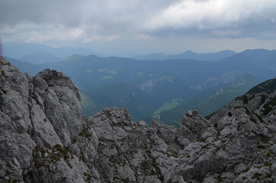 Krofička 29.6.2014 - foto povečava