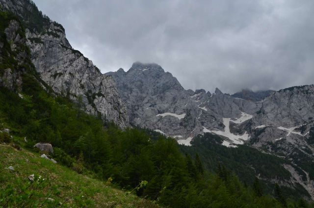 Krofička 29.6.2014 - foto