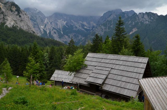 Krofička 29.6.2014 - foto