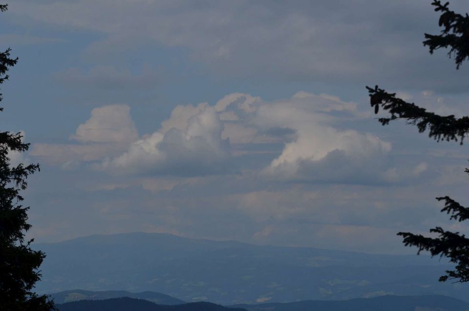 Smrekovec, Krnes, Savinjska 5.7.2014 - foto povečava