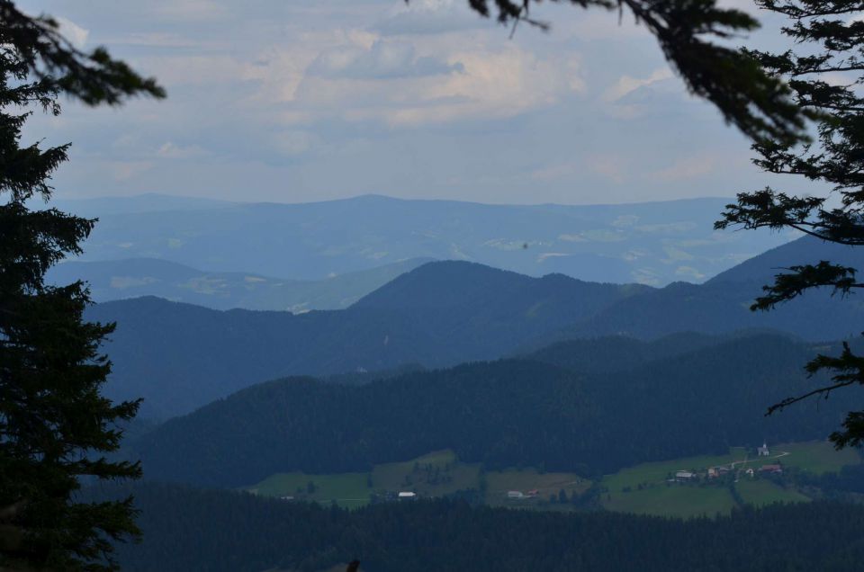 Smrekovec, Krnes, Savinjska 5.7.2014 - foto povečava