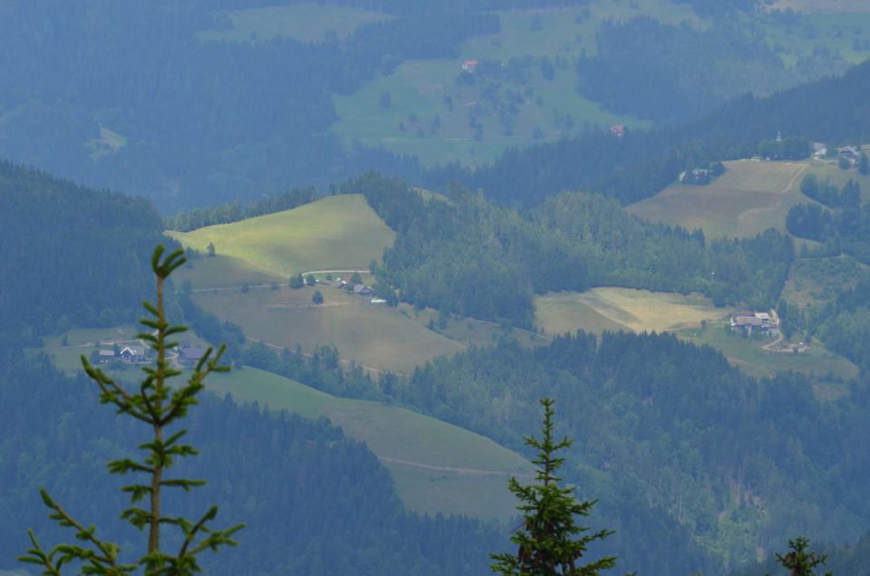 Smrekovec, Krnes, Savinjska 5.7.2014 - foto povečava