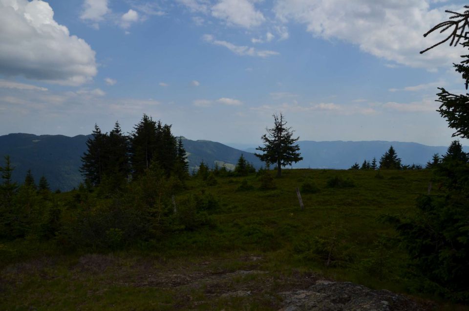 Smrekovec, Krnes, Savinjska 5.7.2014 - foto povečava