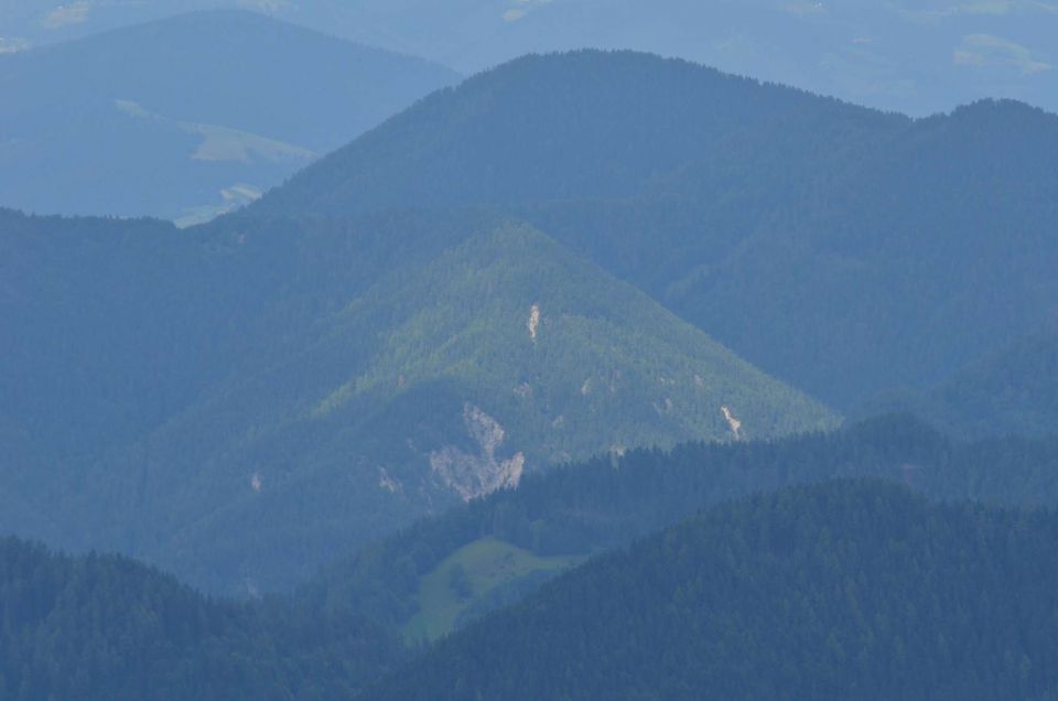 Smrekovec, Krnes, Savinjska 5.7.2014 - foto povečava