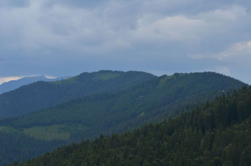 Smrekovec, Krnes, Savinjska 5.7.2014 - foto povečava